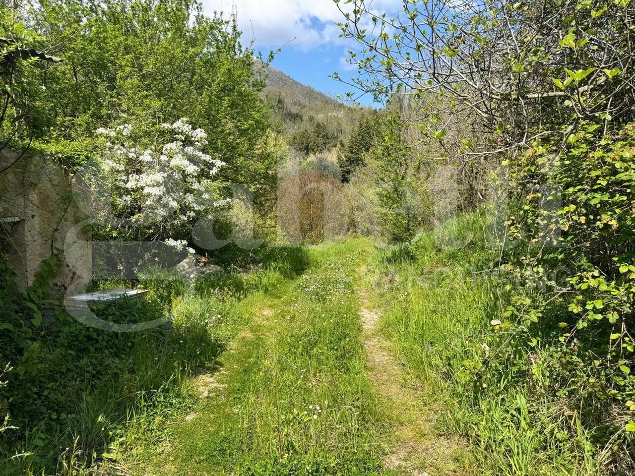 immagine annuncio 5 di 9