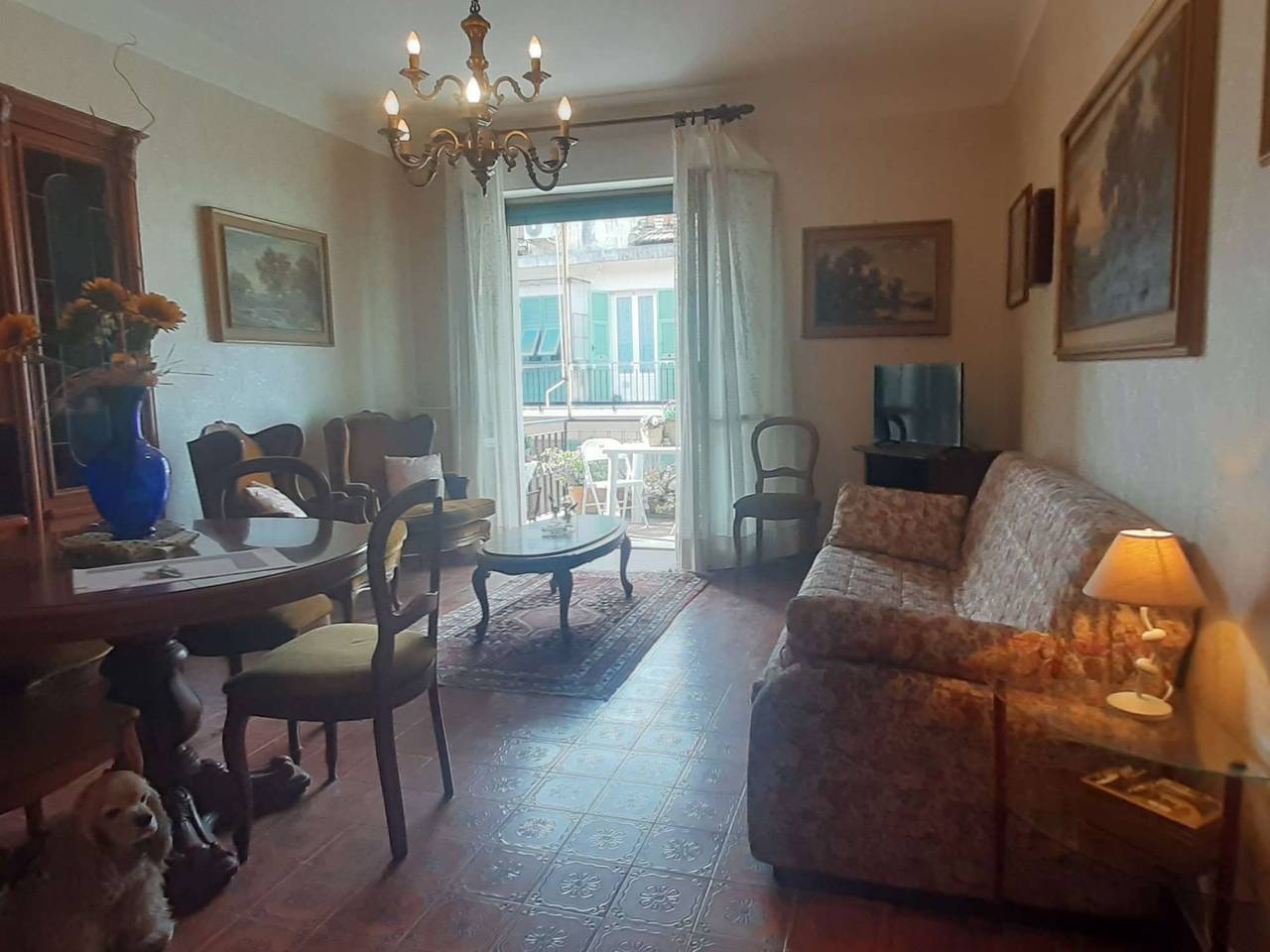 immagine annuncio 13 di 15