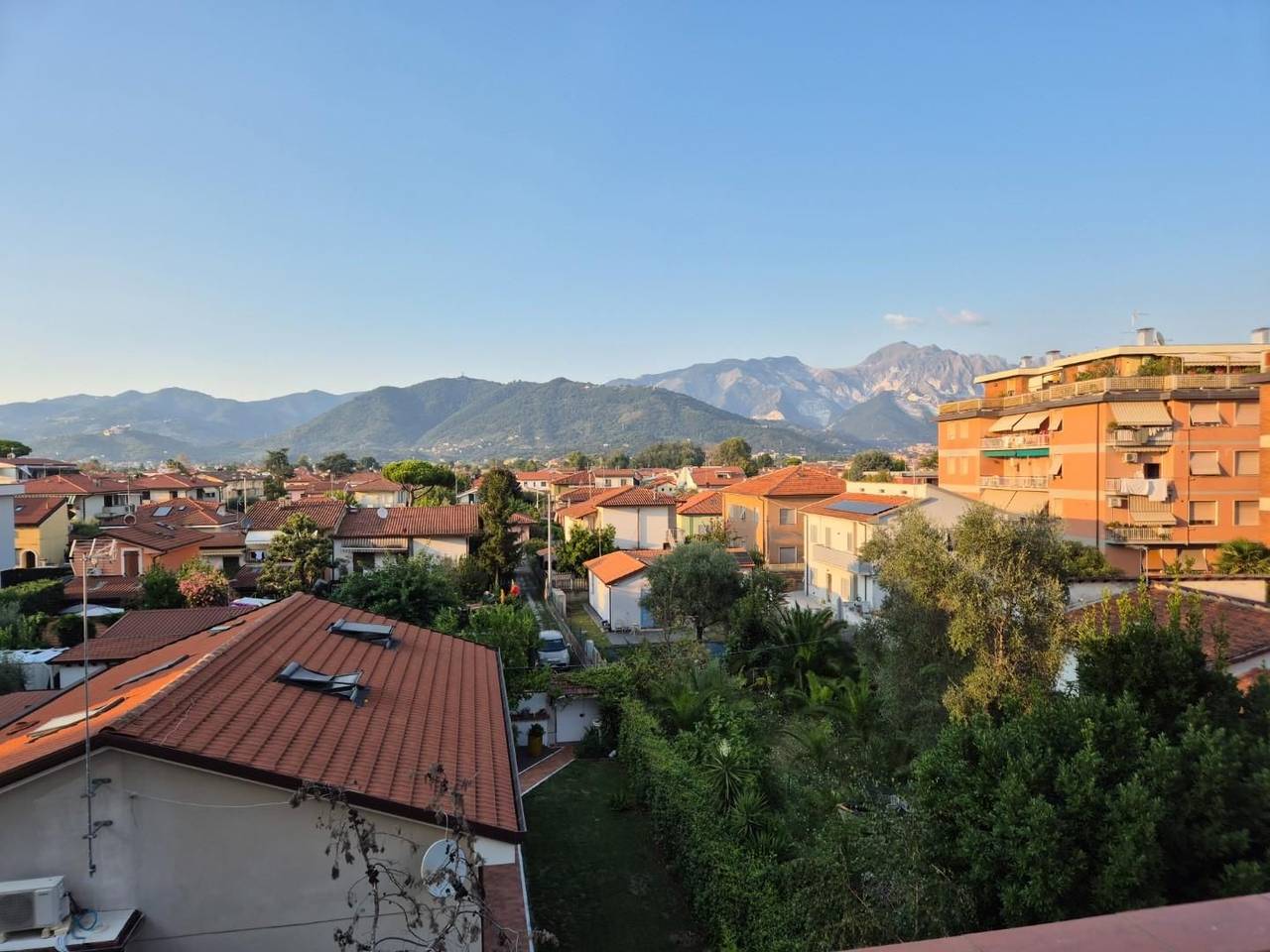 immagine annuncio 7 di 14