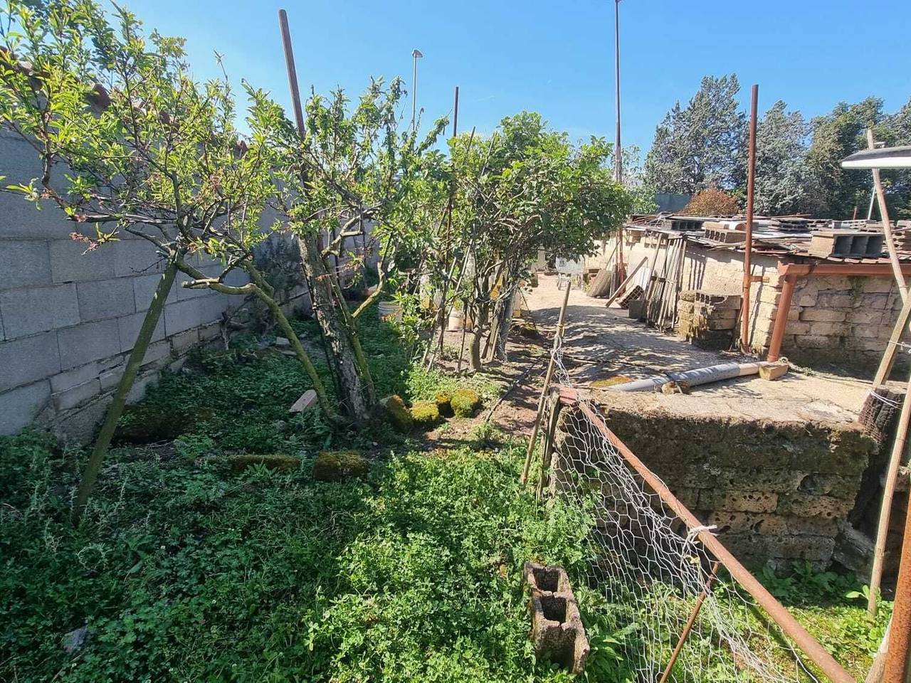 immagine annuncio 13 di 15