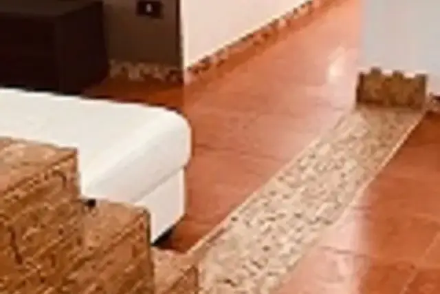 insertion image
