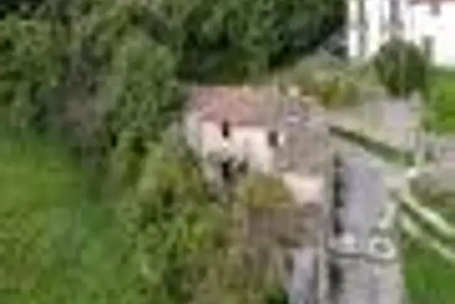 insertion image
