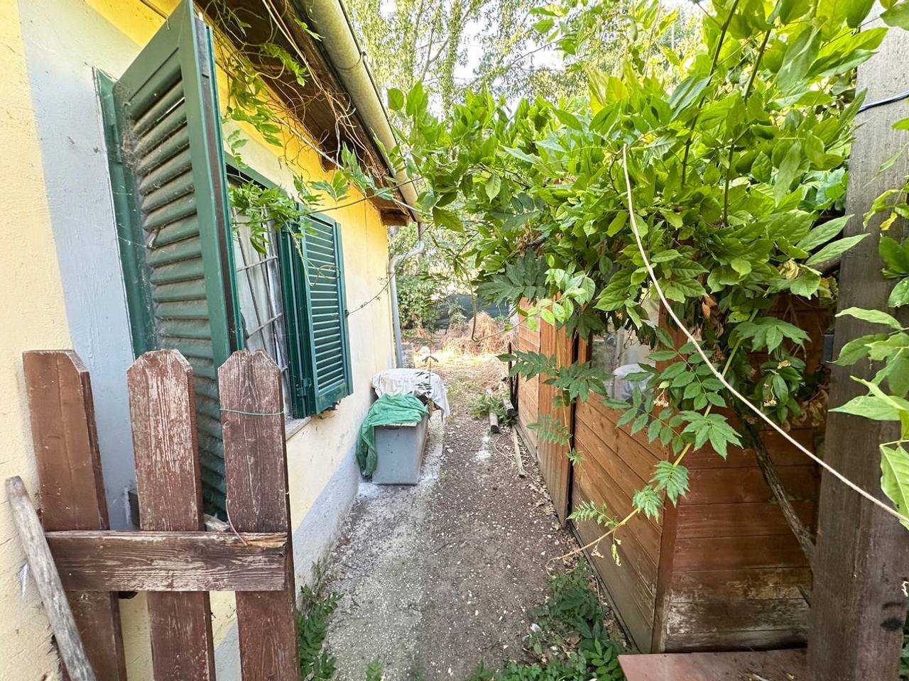 immagine annuncio 3 di 12