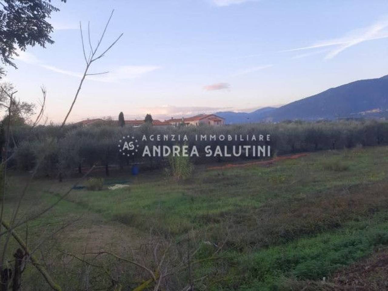 immagine annuncio 3 di 4