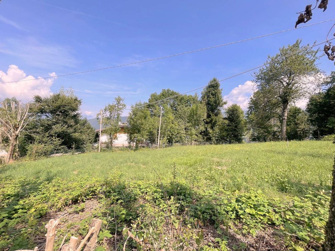 immagine annuncio 2 di 7