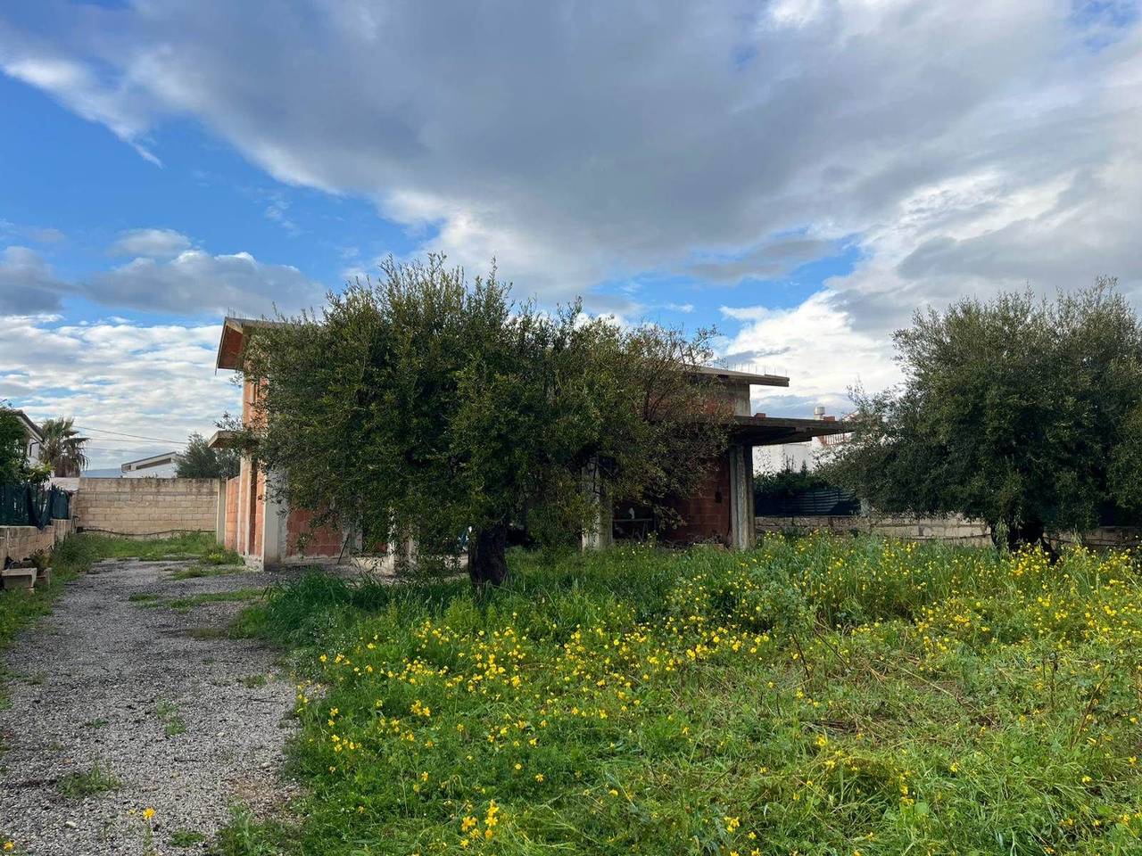 immagine annuncio 1 di 11