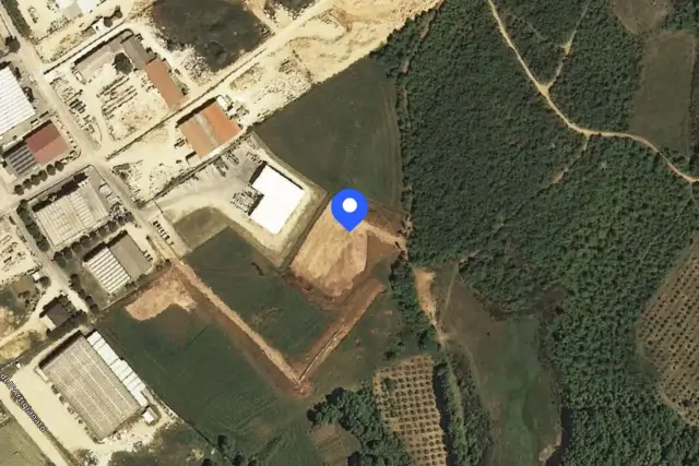 insertion image