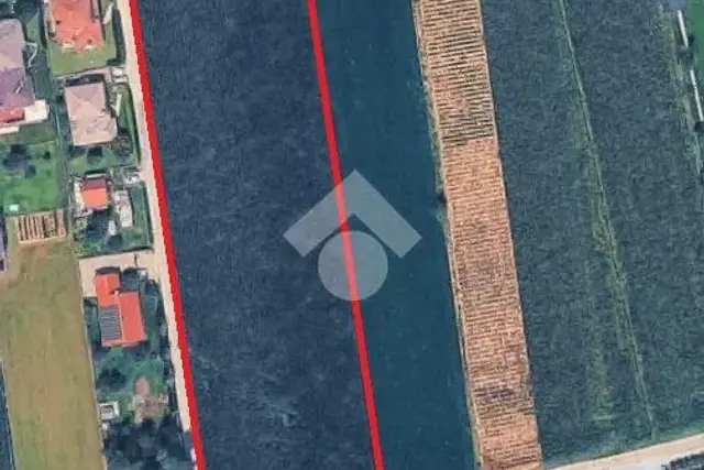 insertion image