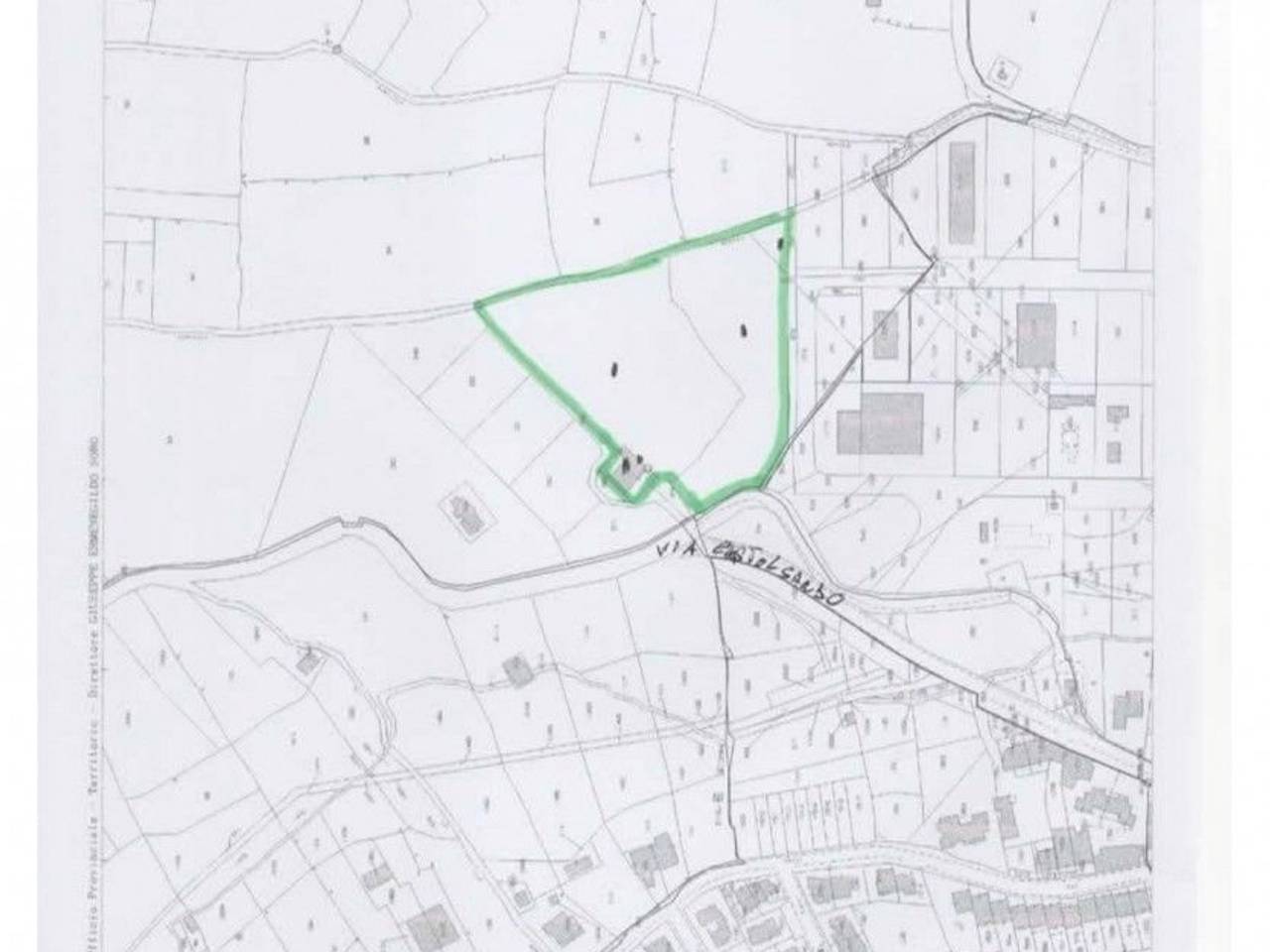 immagine annuncio 5 di 6