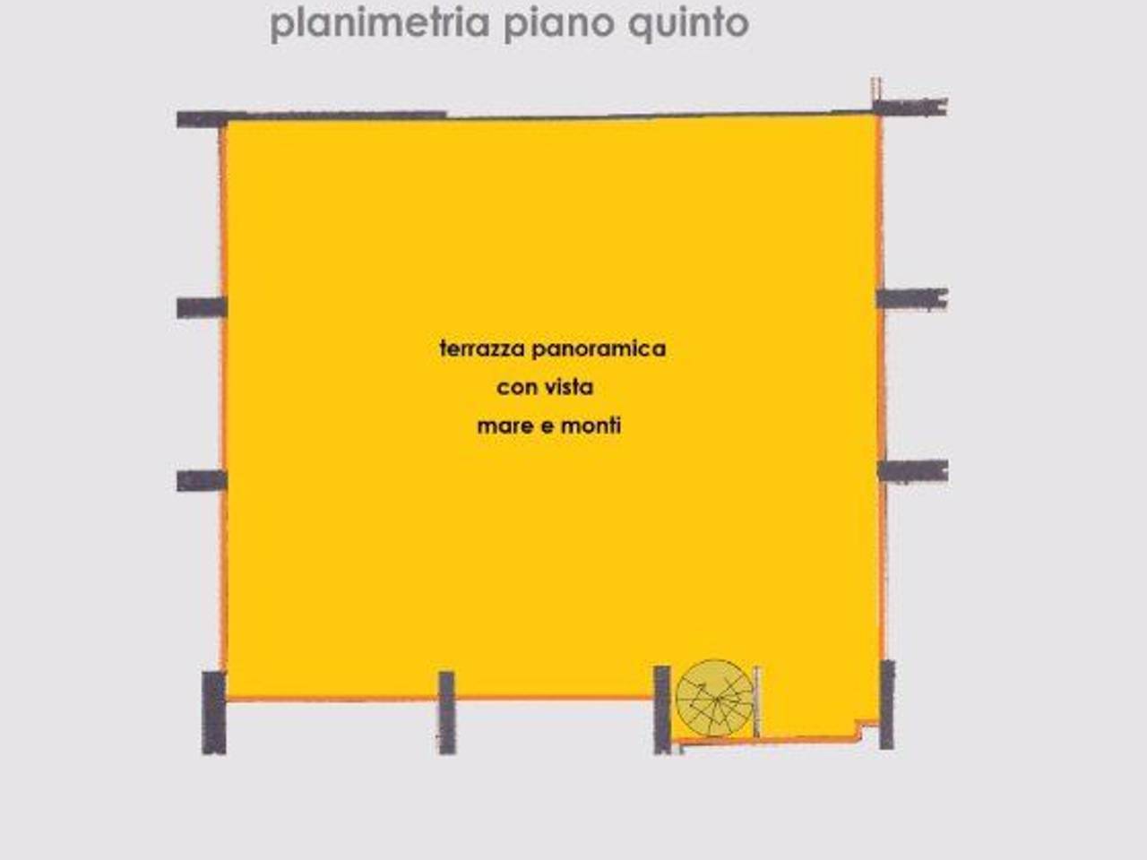 immagine annuncio 9 di 13