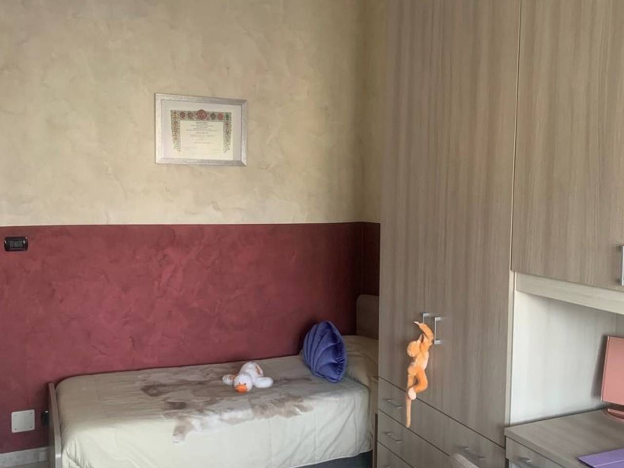 immagine annuncio 6 di 11