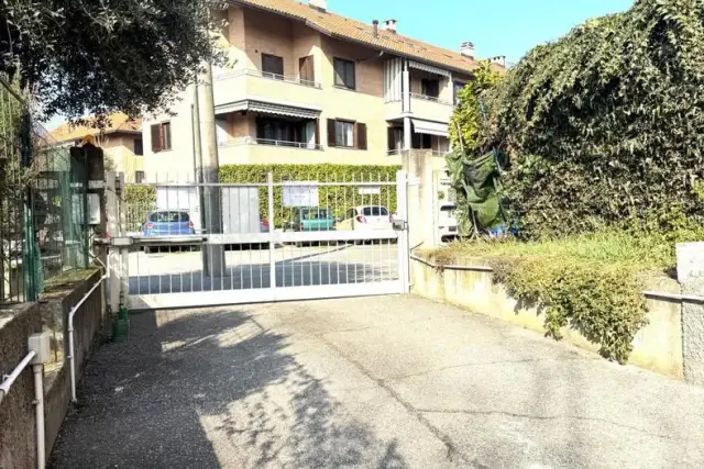 insertion image