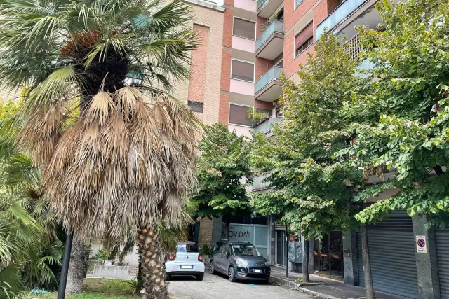 Geschäft in Piazza dello Spirito Santo 8, Pescara - Foto 1