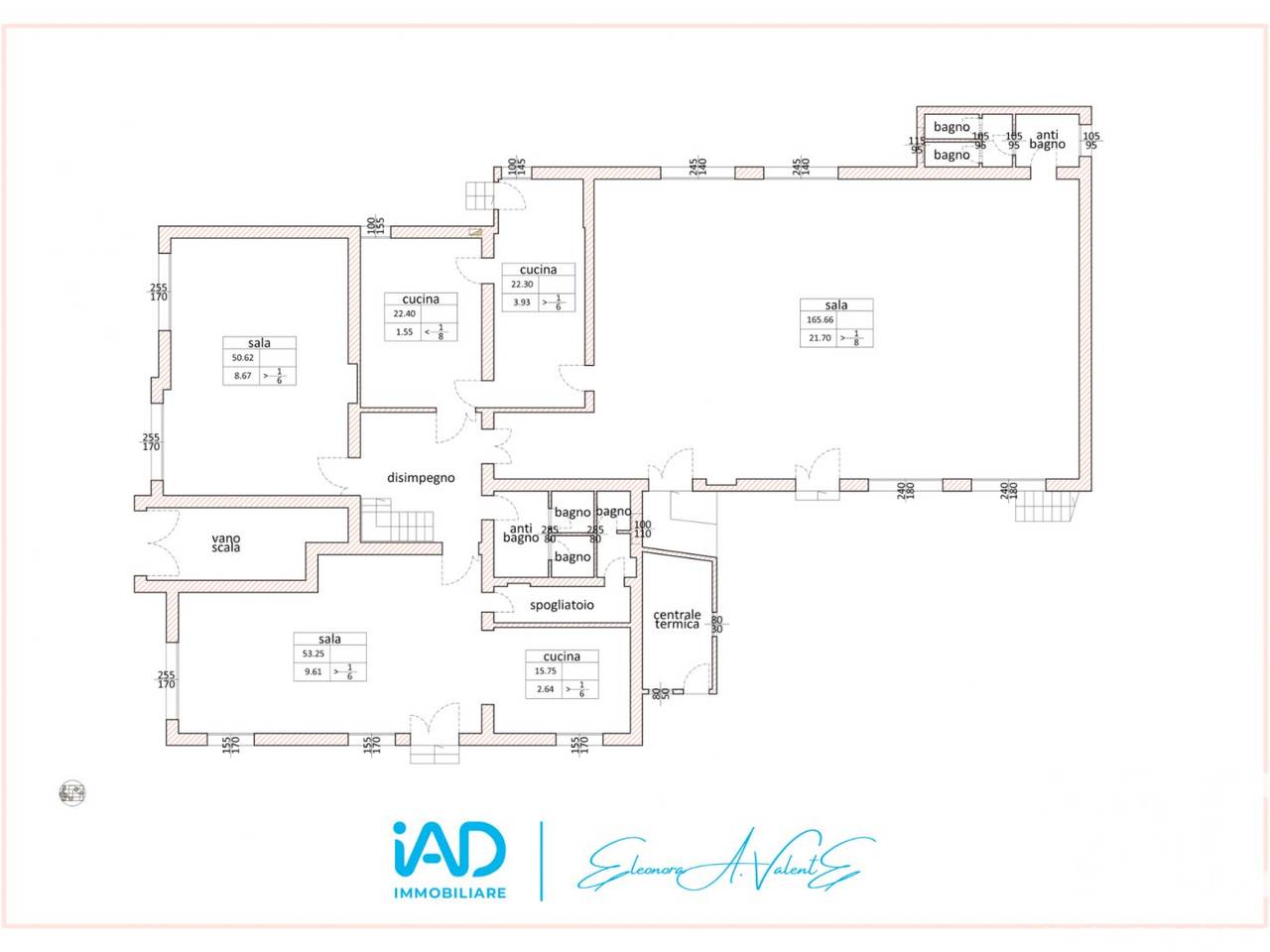 immagine annuncio 1 di 2