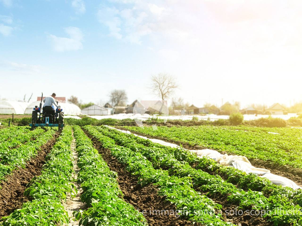 immagine annuncio 4 di 10