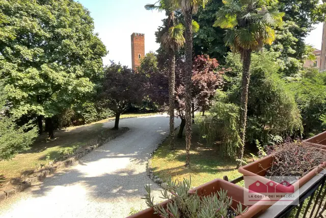 insertion image