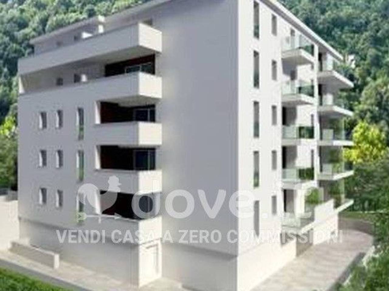 immagine annuncio 3 di 7