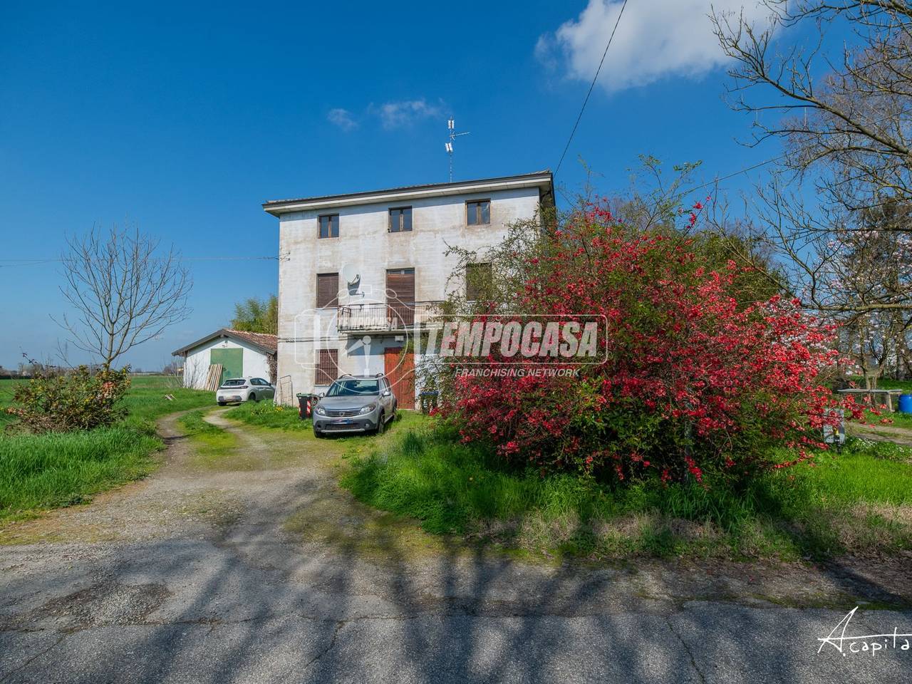 immagine annuncio 11 di 15