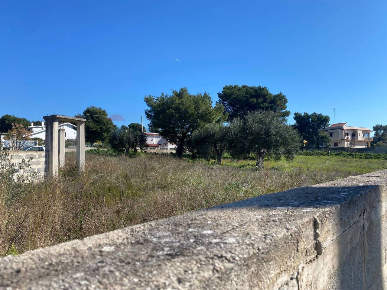 immagine annuncio 5 di 6