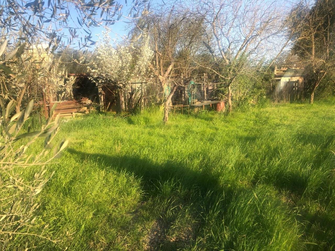 immagine annuncio 1 di 7