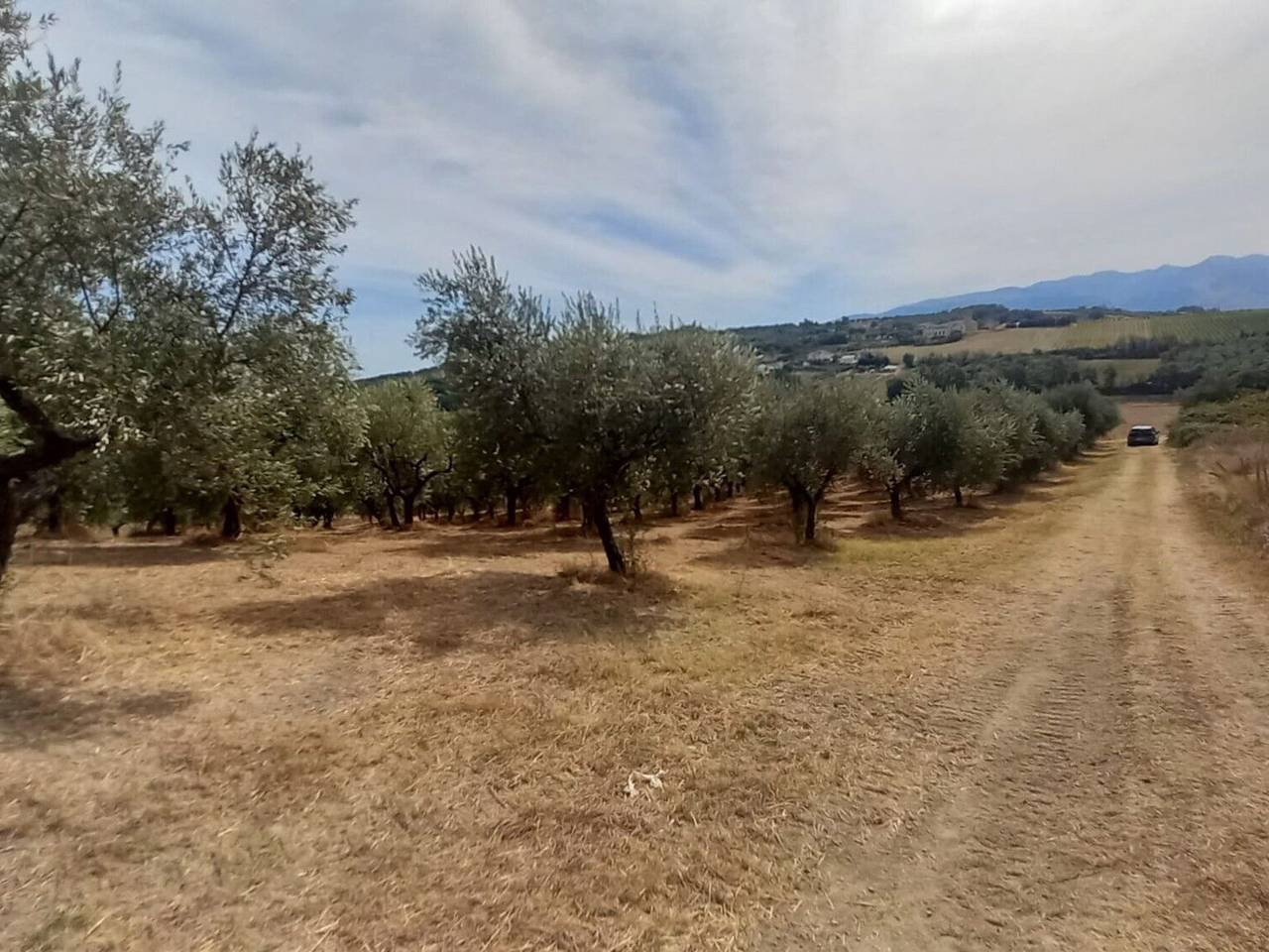 immagine annuncio 8 di 11