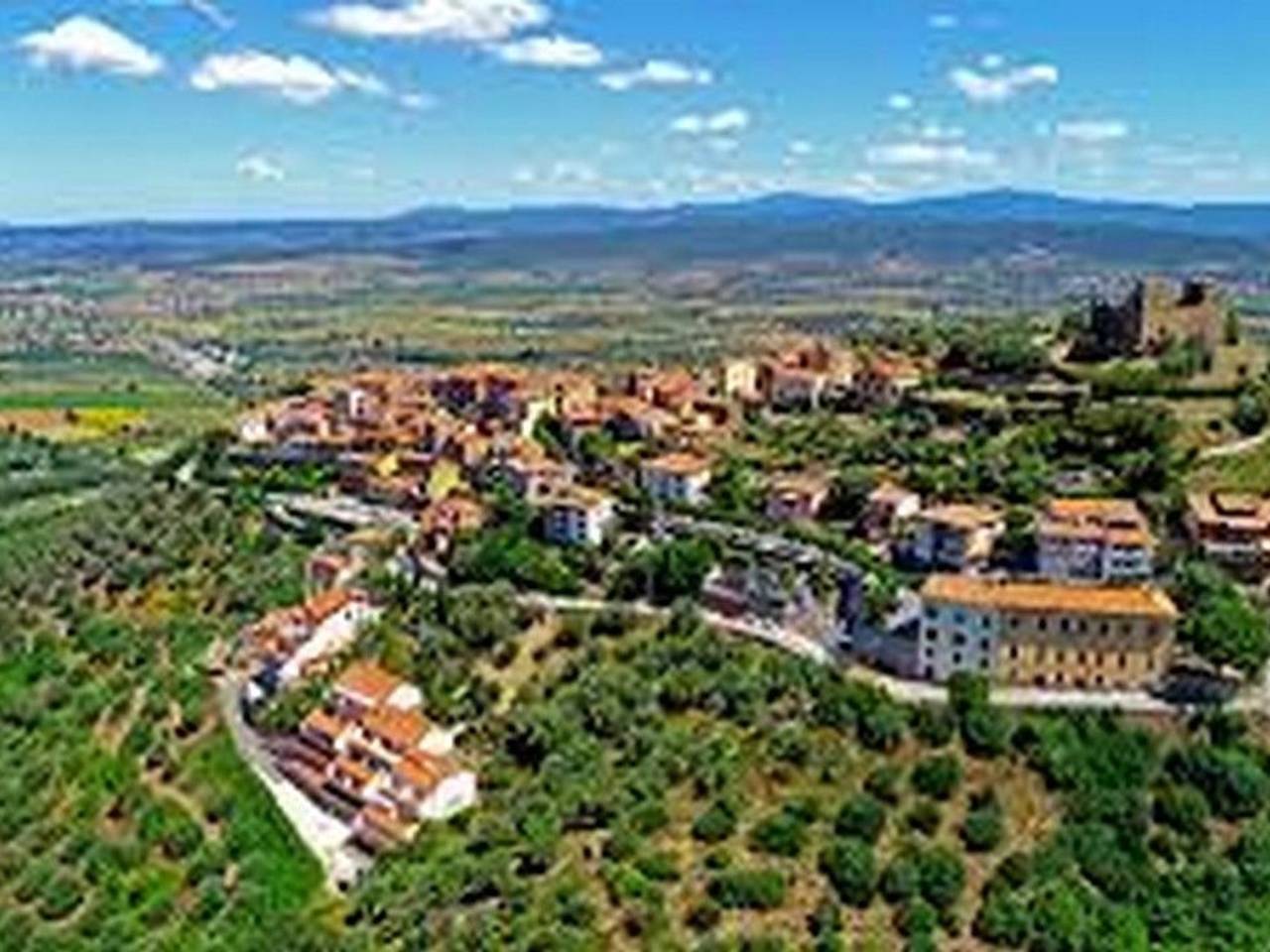 immagine annuncio 4 di 8