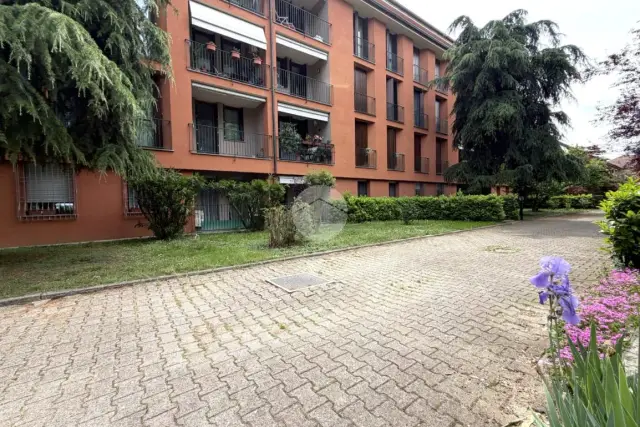 insertion image