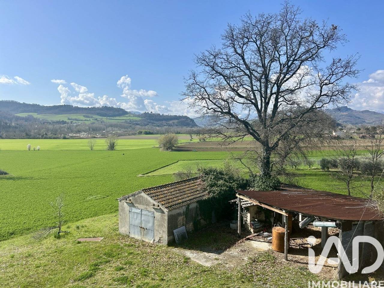 immagine annuncio 2 di 15