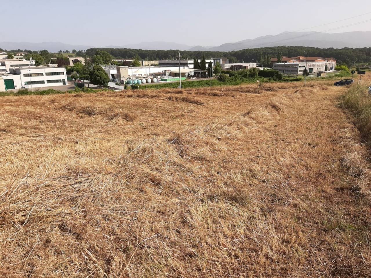 immagine annuncio 1 di 7