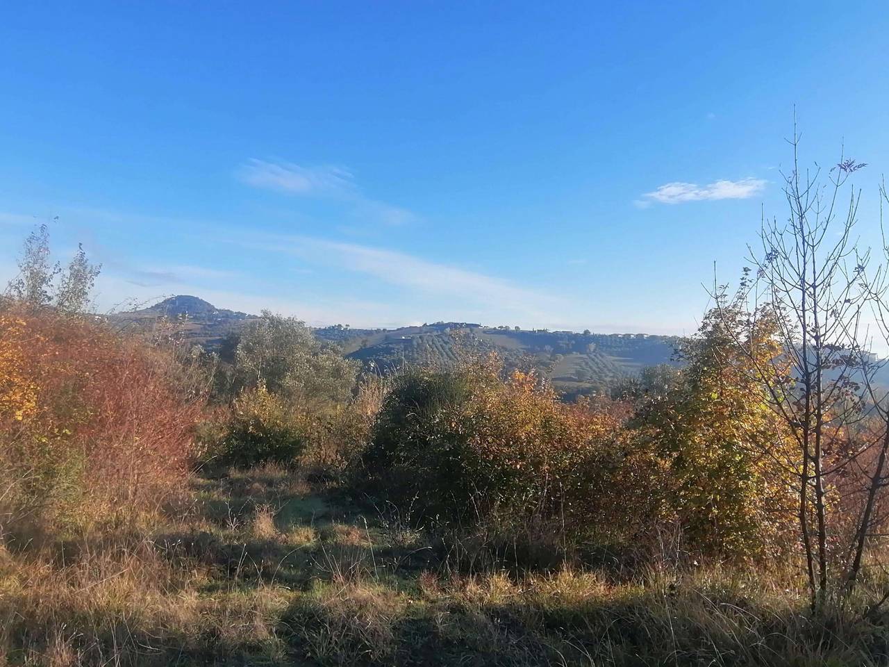 immagine annuncio 7 di 8