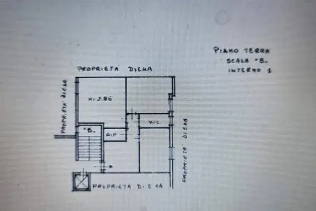insertion image