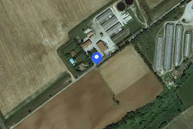 insertion image