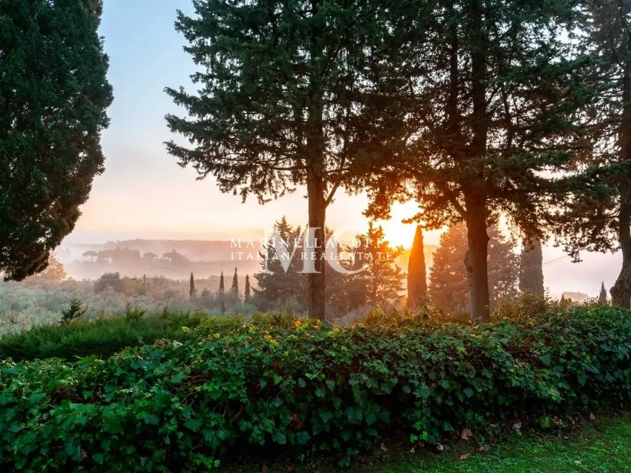 Azienda agricola in , San Casciano In Val Di Pesa, {3} - Foto 1