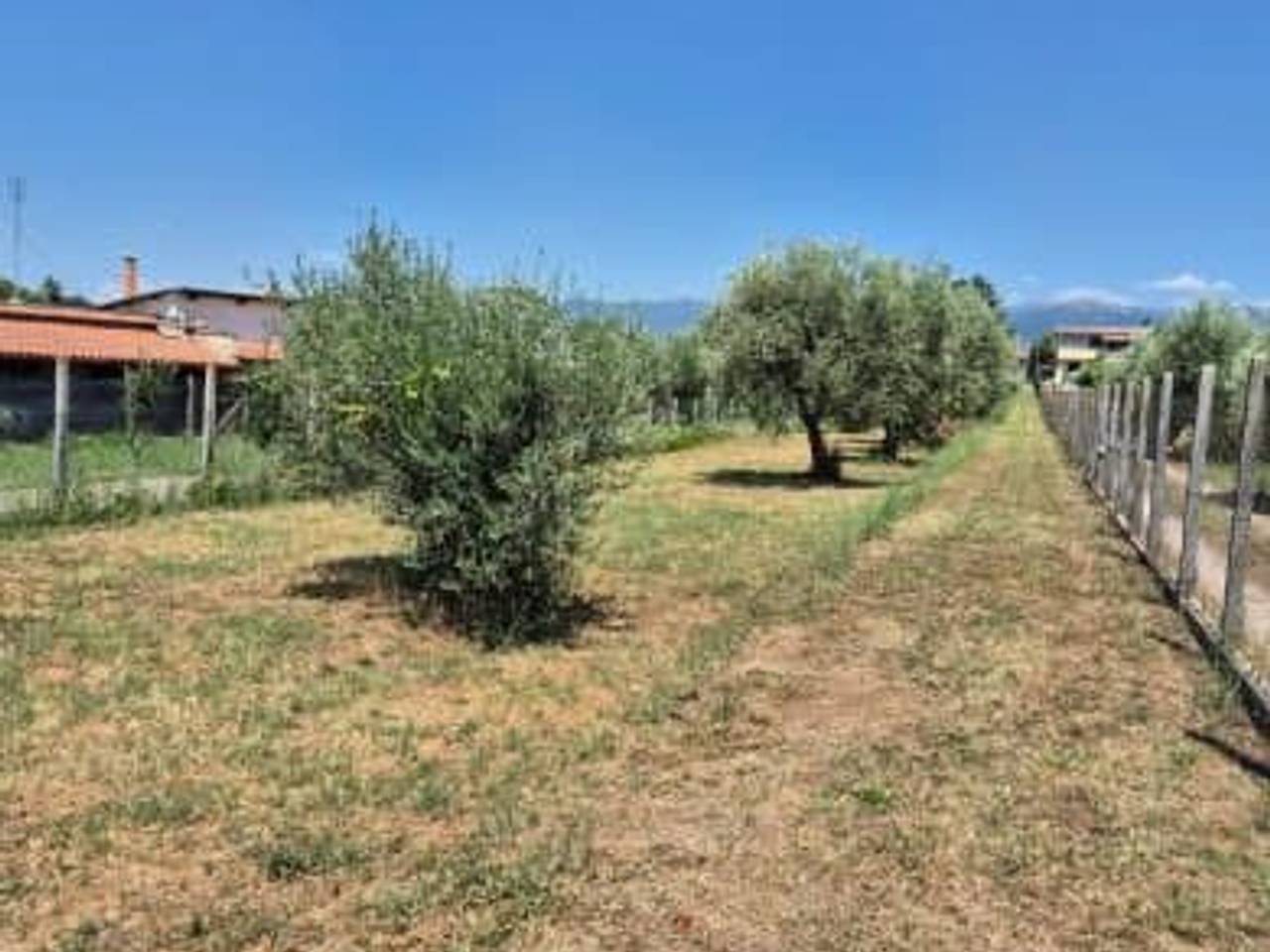 immagine annuncio 3 di 4