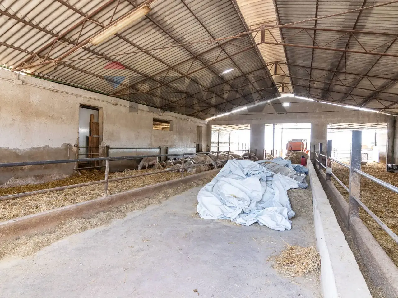 Azienda agricola in , Ragusa, {3} - Foto 1