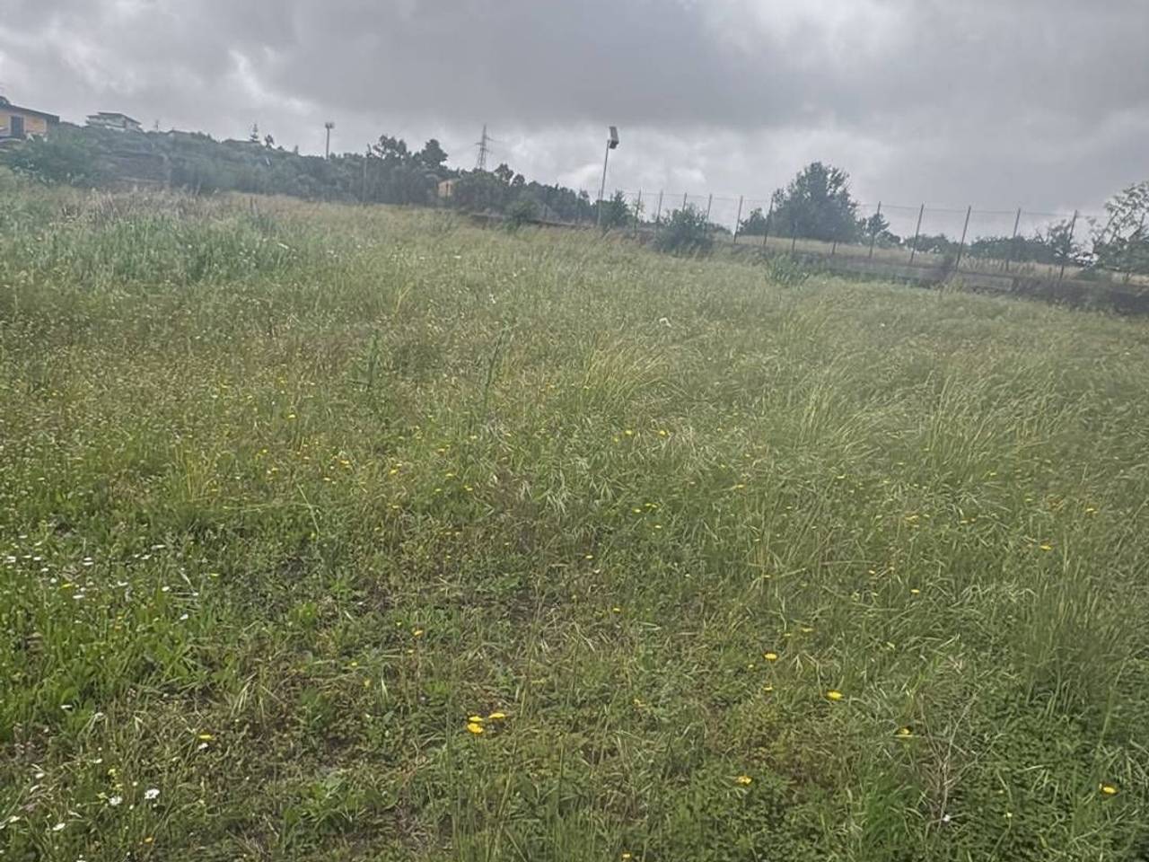 immagine annuncio 6 di 7