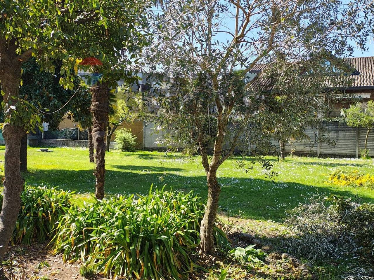 immagine annuncio 2 di 8