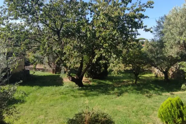 Terreno agricolo in Via Dante Alighieri, Marino - Foto 1