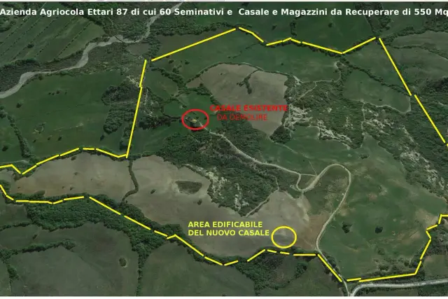 insertion image