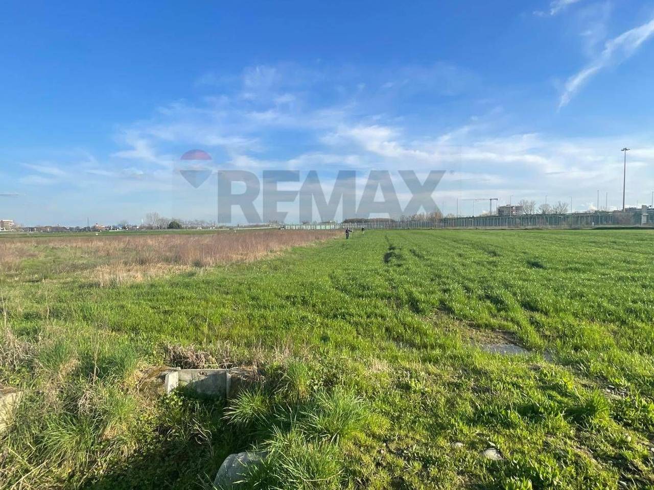 immagine annuncio 1 di 6