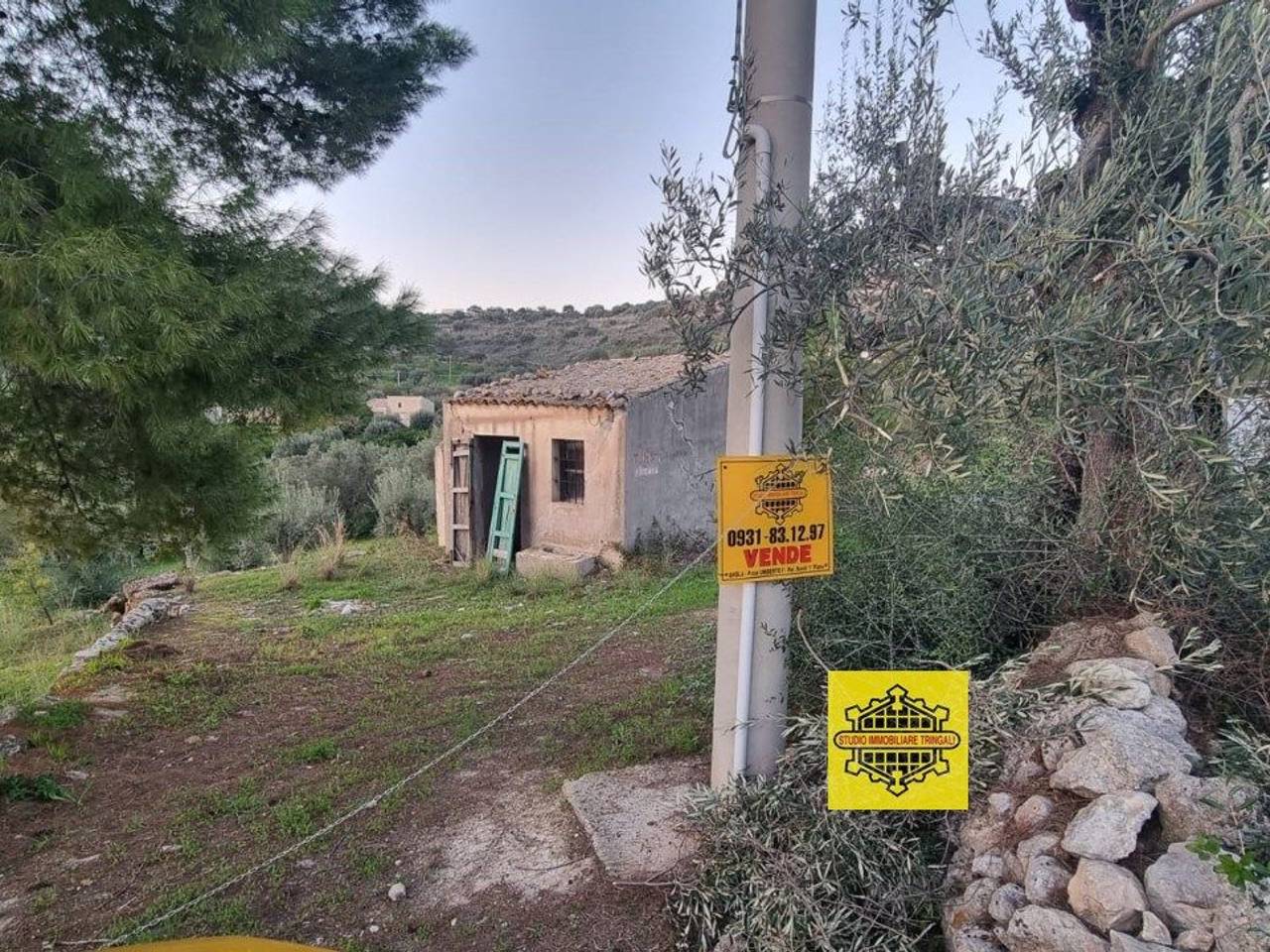 immagine annuncio 3 di 9