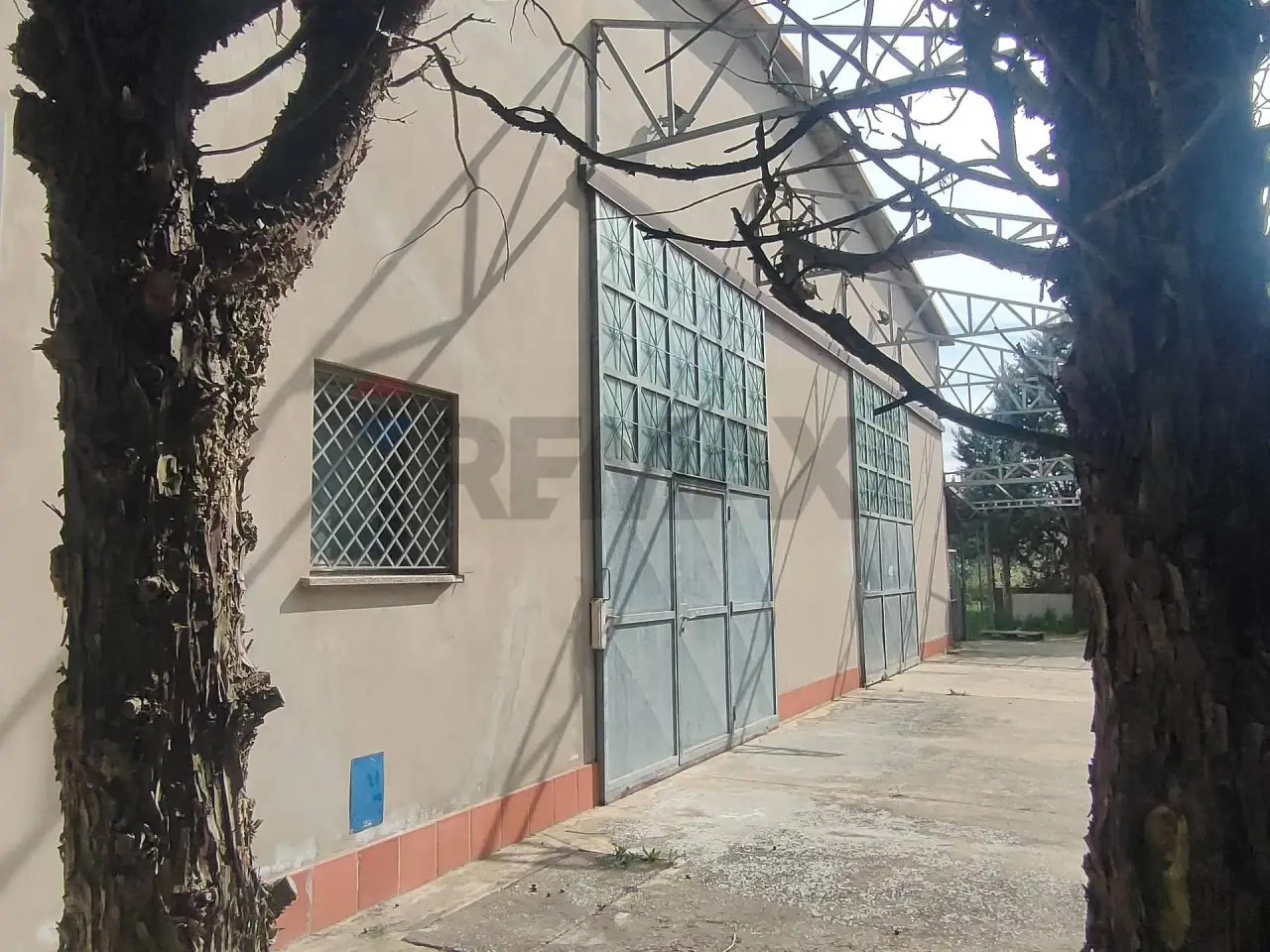 Negozio in Togliatti 2, Riva del Po, {3} - Foto 2