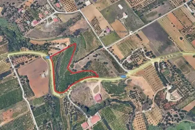 insertion image
