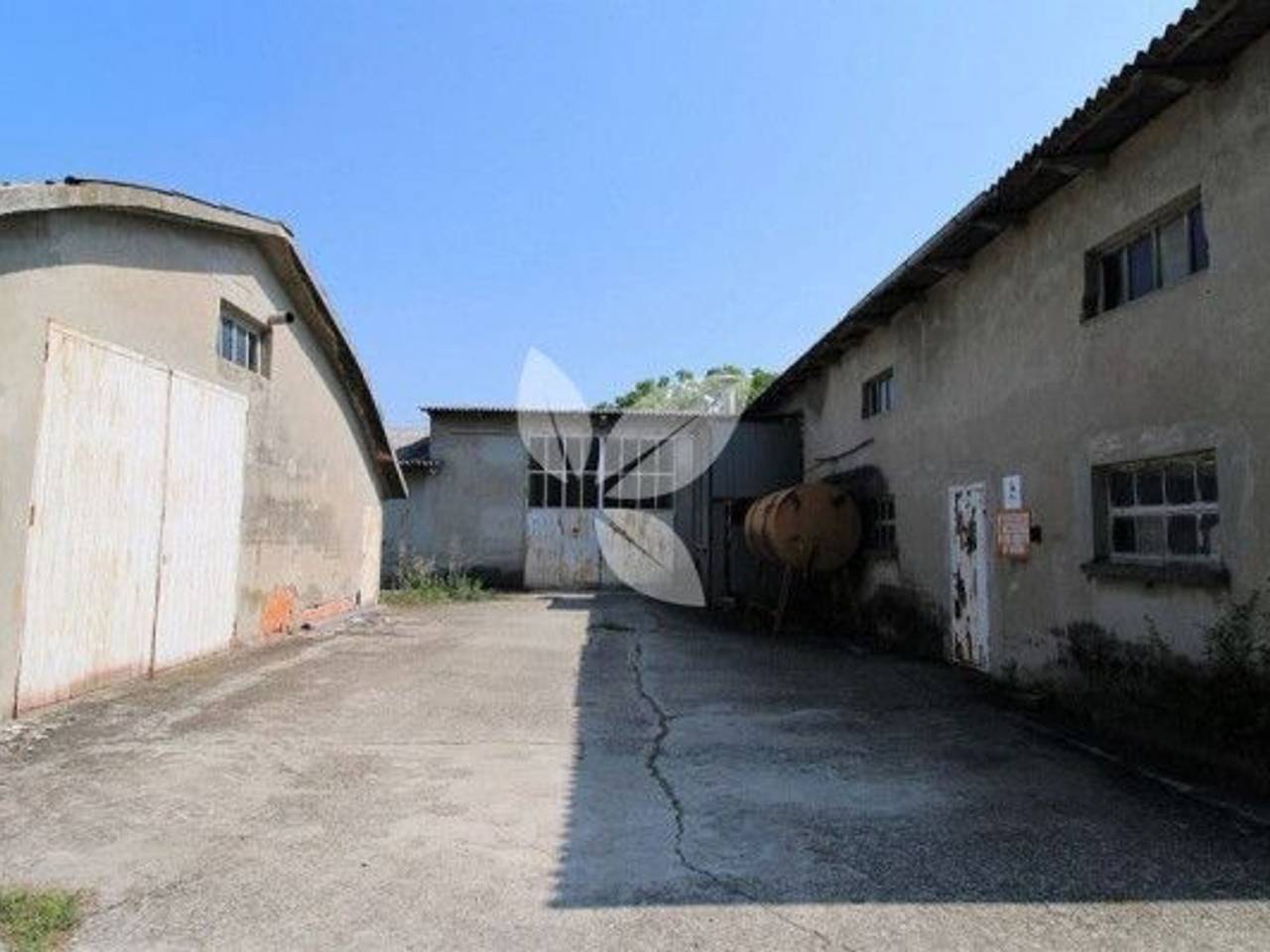 immagine annuncio 2 di 6