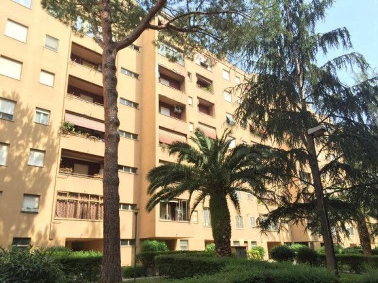 immagine annuncio 1 di 14
