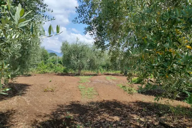 Terreno agricolo in Via Castel Ginnetti, Velletri - Foto 1