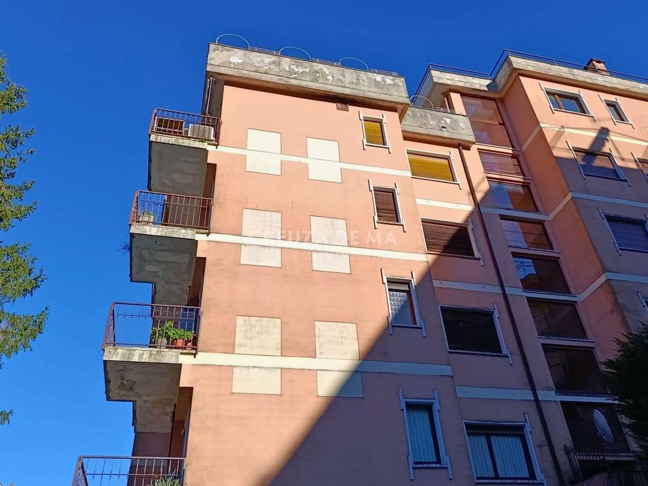 immagine annuncio 11 di 12