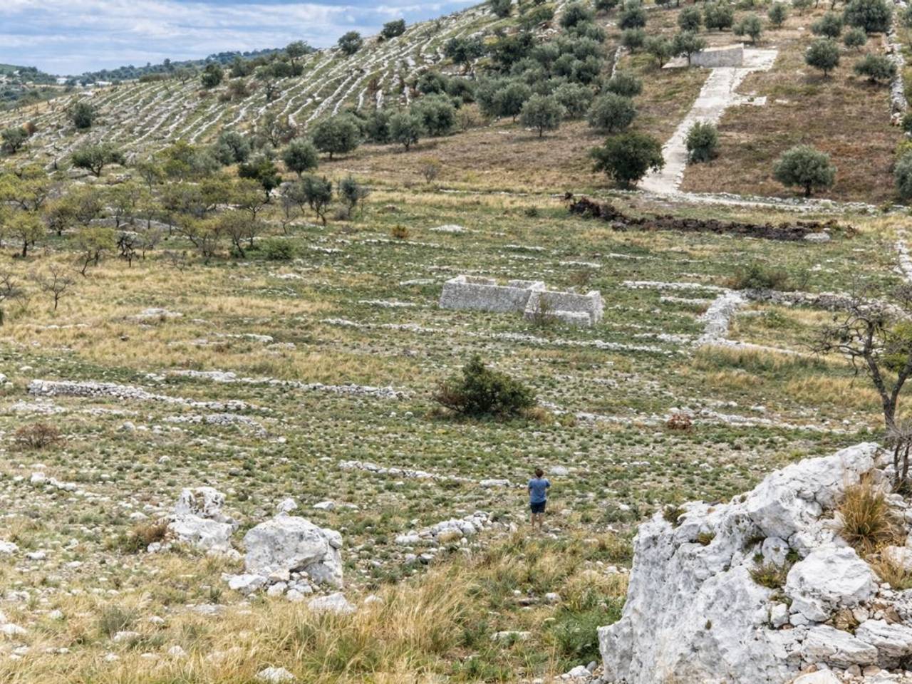 immagine annuncio 1 di 6