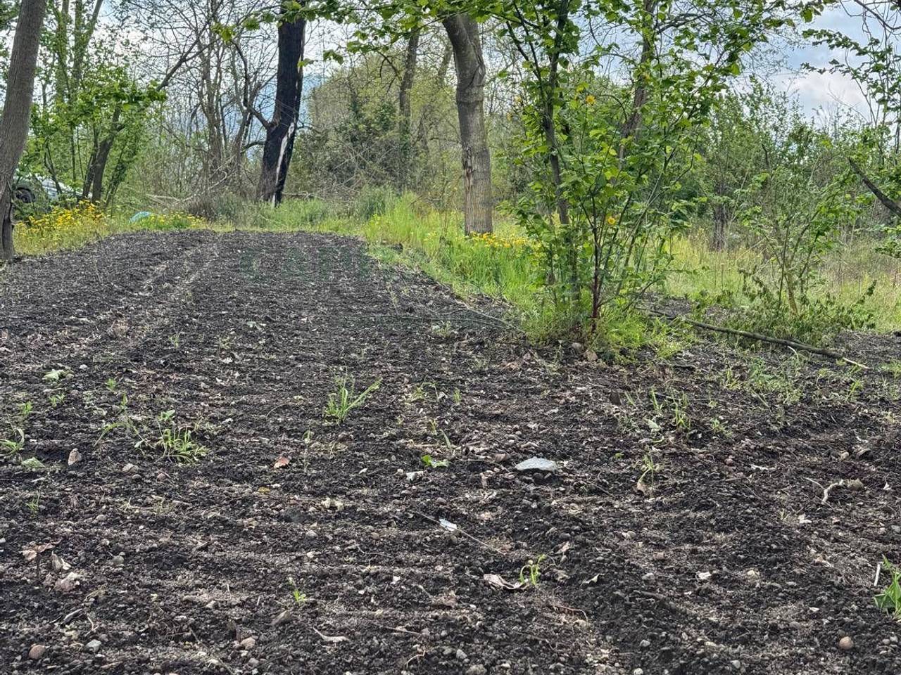 immagine annuncio 5 di 6