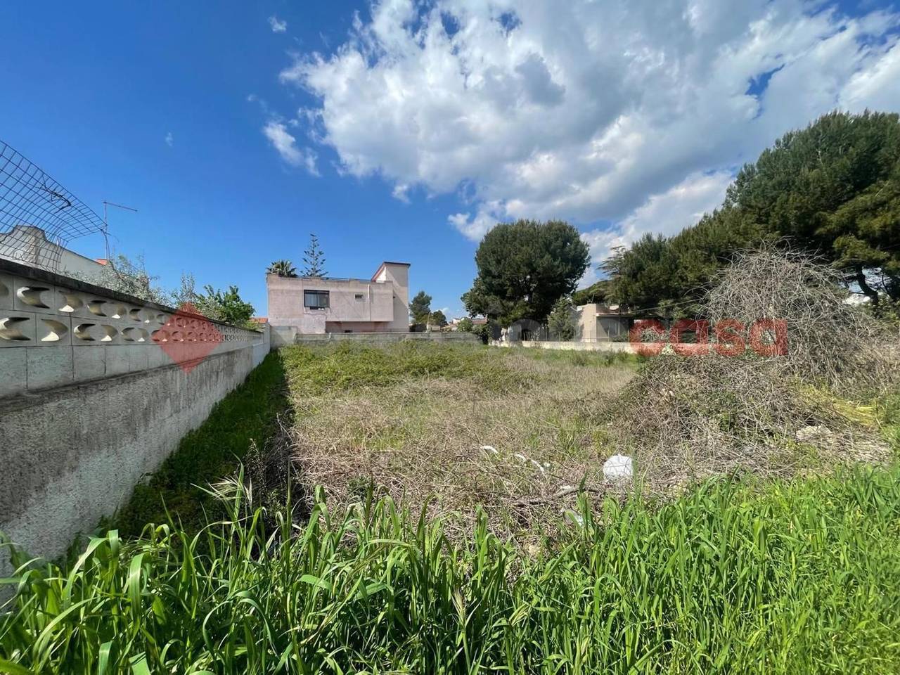 immagine annuncio 4 di 7